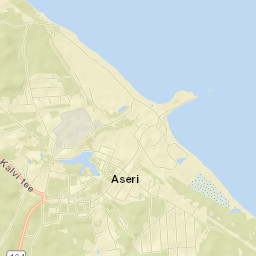 Aseri Street Map
