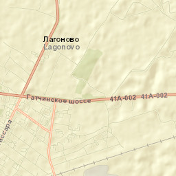 Volosovo Street Map