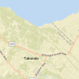 Tabasalu Street Map