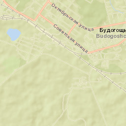Budogoshch’ Street Map