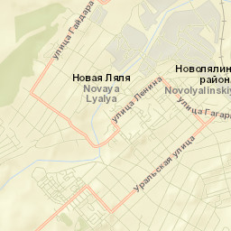 Novaya Lyalya Street Map