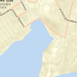 Nizhnyaya Tura Street Map