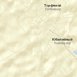 Torfyanoy Street Map