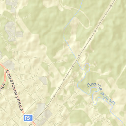 Plyussa Street Map