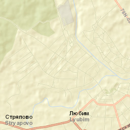 Lyubim Street Map