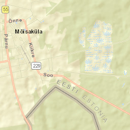 Mõisaküla Street Map