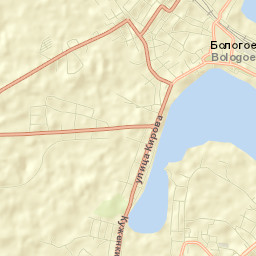 Bologoye Street Map