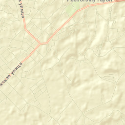 Pechory Street Map