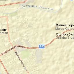 Bezhetsk Street Map