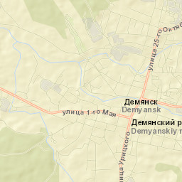 Demyansk Street Map