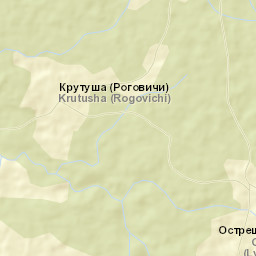 Demyanskiy Rayon Street Map