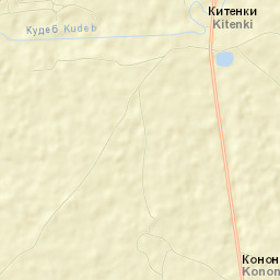 Palkinskiy Rayon Street Map