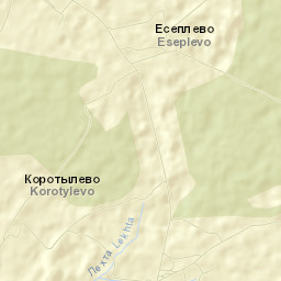Borisoglebskiy Rayon Street Map