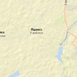 Staraya Vichuga Street Map