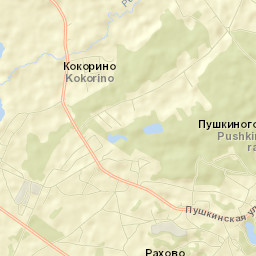 Pushkinskiye Gory Street Map