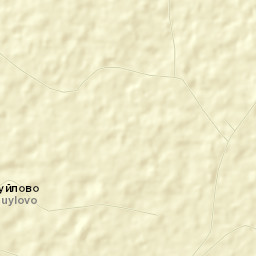 Pushkino-Gorskiy Rayon Street Map