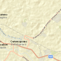 Selizharovo Street Map