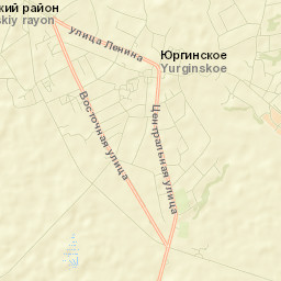 Yurginskoye Street Map