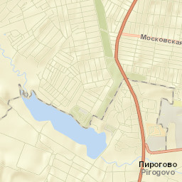 Pirogovo Street Map