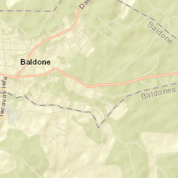 Baldone Street Map