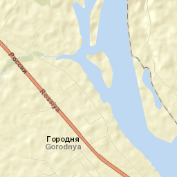 Gorodnya Street Map