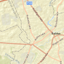 Saldus Street Map