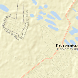 Pervomayskiy Street Map