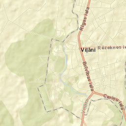 Viļāni Street Map