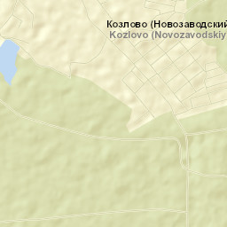 Kozlovo Street Map