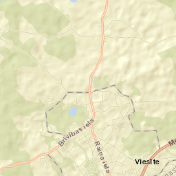 Viesīte Street Map