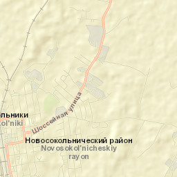 Novosokol’niki Street Map