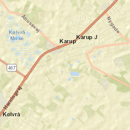 Karup Street Map