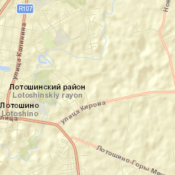 Lotoshino Street Map