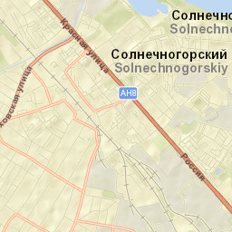 Solnechnogorsk Street Map