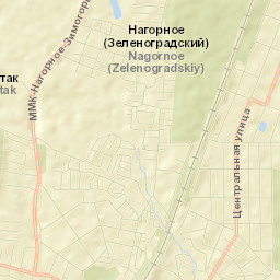 Zelenogradskiy Street Map