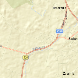 Salantai Street Map
