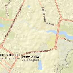 Zelenograd Street Map
