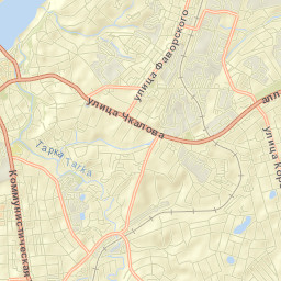 Pavlovo Street Map