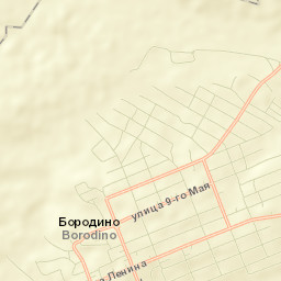 Borodino Street Map