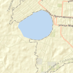 Tyukalinsk Street Map