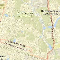 Saltykovka Street Map