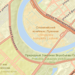 Luzhniki Street Map
