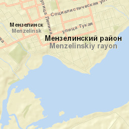 Menzelinsk Street Map