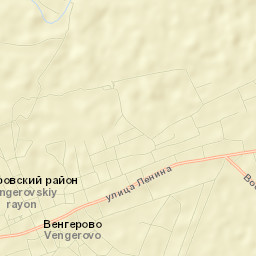 Vengerovo Street Map
