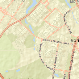 Vostryakovo Street Map