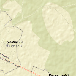 Gusevskiy Street Map