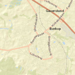 Børkop Street Map