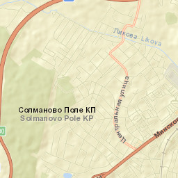 Lesnoy Gorodok Street Map