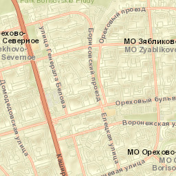 Orekhovo-Borisovo Street Map