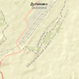 Dubinino Street Map